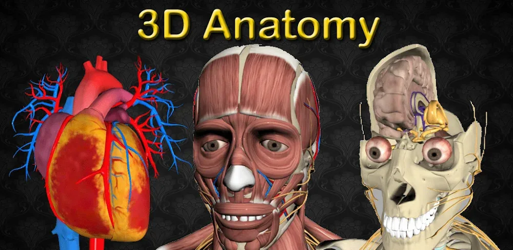 3D Anatomy v7.0 MOD APK (Full Version Unlocked)