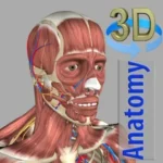 3D Anatomy v7.0 MOD APK (Full Version Unlocked)