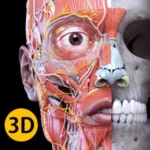 Anatomy 3D Atlas v7.0.0 MOD APK (Premium Unlocked)