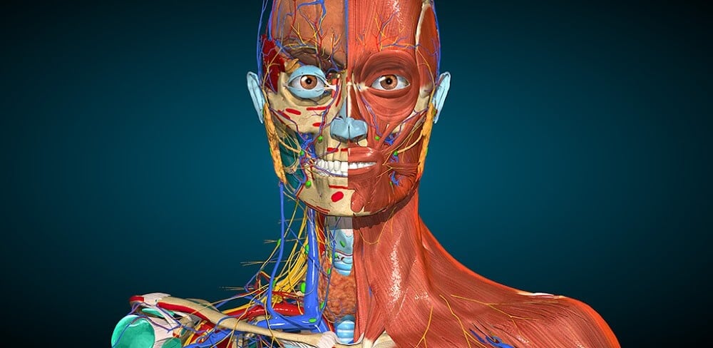 Anatomy Learning – 3D Anatomy v3.1.500 MOD APK (Full version Unlocked)
