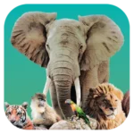 Ark Nova v1.0.5 APK (Full Game)