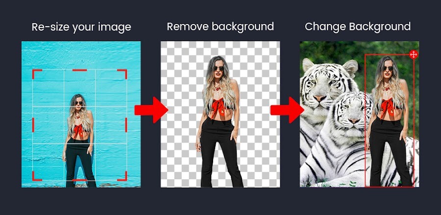 Photo Background Changer: Edit v2.1.2 MOD APK (Premium Unlocked)