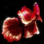 BETTA 120HZ v1.0.7 MOD APK (Premium Unlocked)