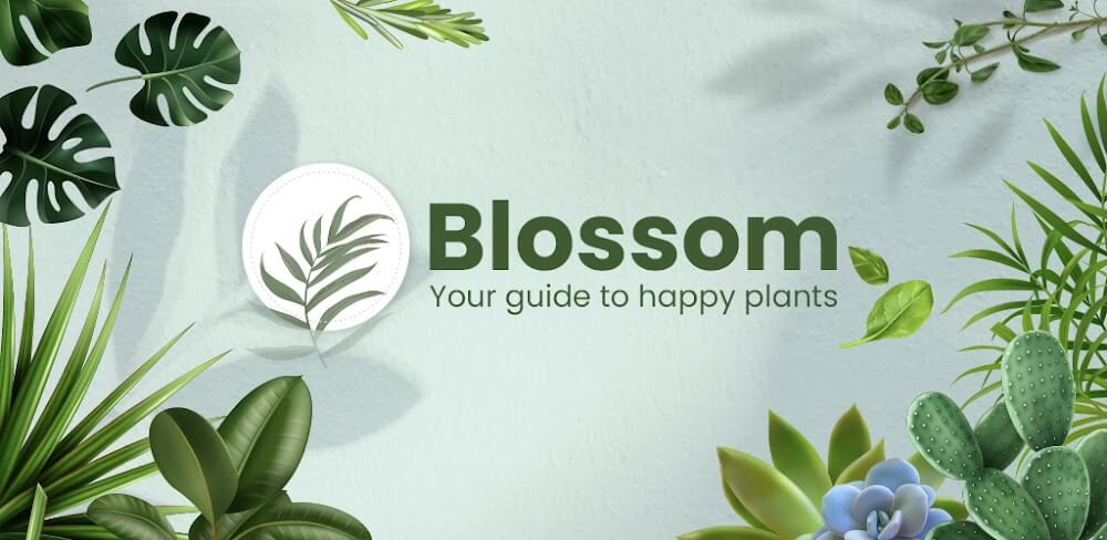 Blossom v1.56.4 MOD APK (Premium Unlocked)