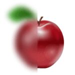 Blur Video and Photo Editor v4.9.8 MOD APK (Premium Unlocked)