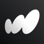 Facewow AI Headshot Generator v1.2.0.1 MOD APK (Premium Unlocked)