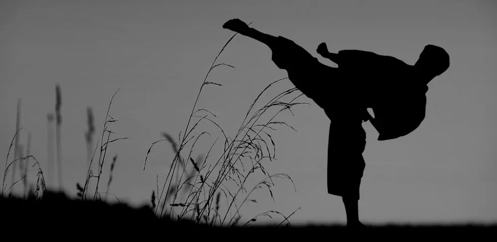 Flexibility for Fighters v2.19.google MOD APK (Premium Unlocked)