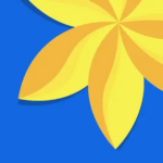 XGallery v2.0.5 APK + MOD (Premium Unlocked)