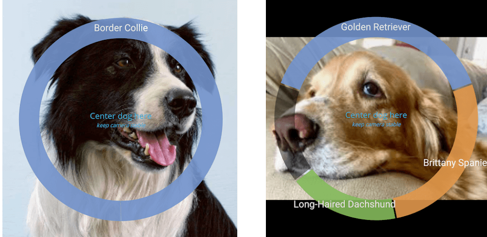 Identify Dog Breeds Pro v28 APK (Full Version)