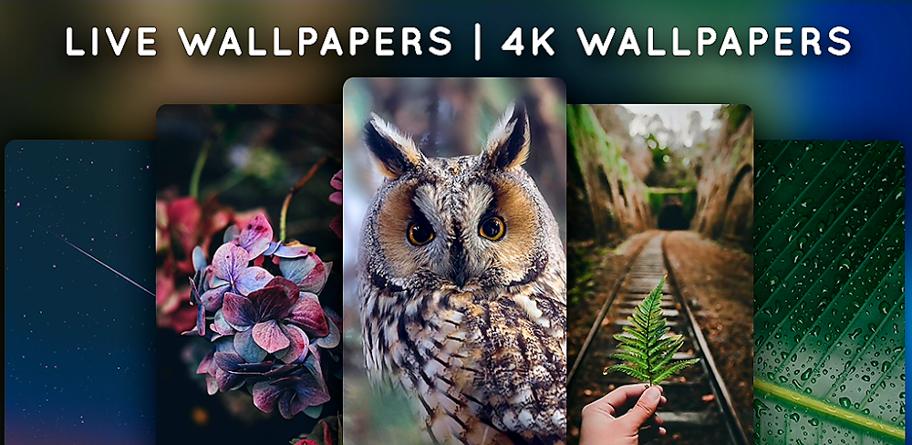 Live Wallpapers v5.6 MOD APK (Premium Unlocked)