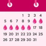 Period Tracker Ovulation Cycle v1.7.0 MOD APK (Premium Unlocked)