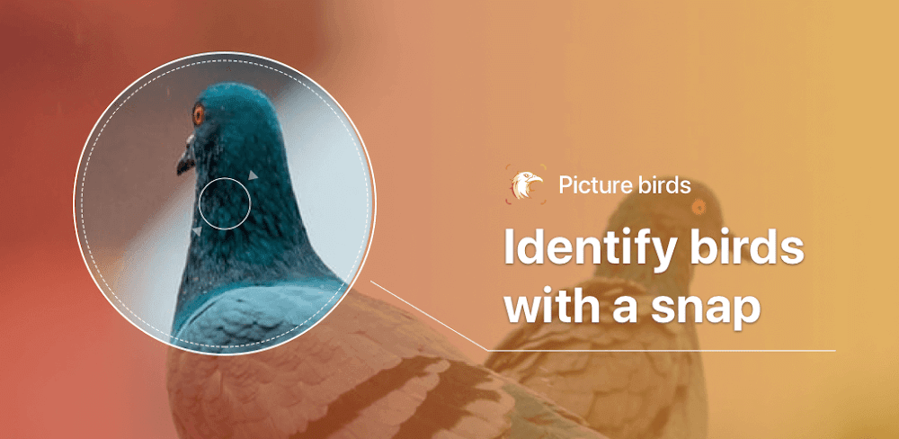 Picture Bird – Bird Identifier v2.9.32 MOD APK (Premium Unlocked)