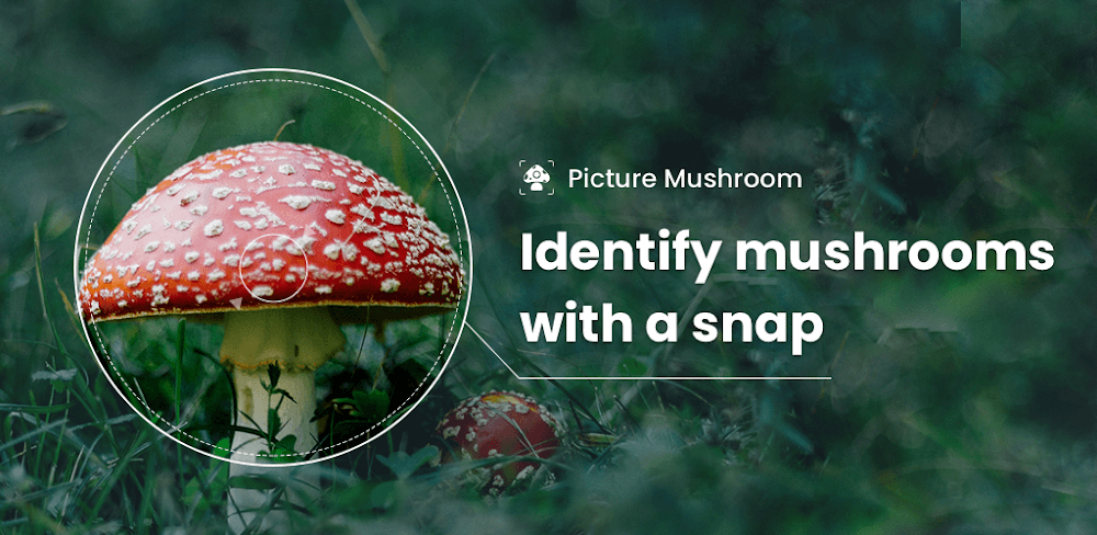 Picture Mushroom v2.9.31 APK + MOD (Premium Unlocked)