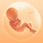 Pregnancy Tracker v3.149.1 MOD APK (Premium Unlocked)