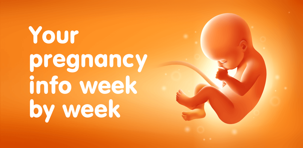 Pregnancy Tracker v3.149.1 MOD APK (Premium Unlocked)