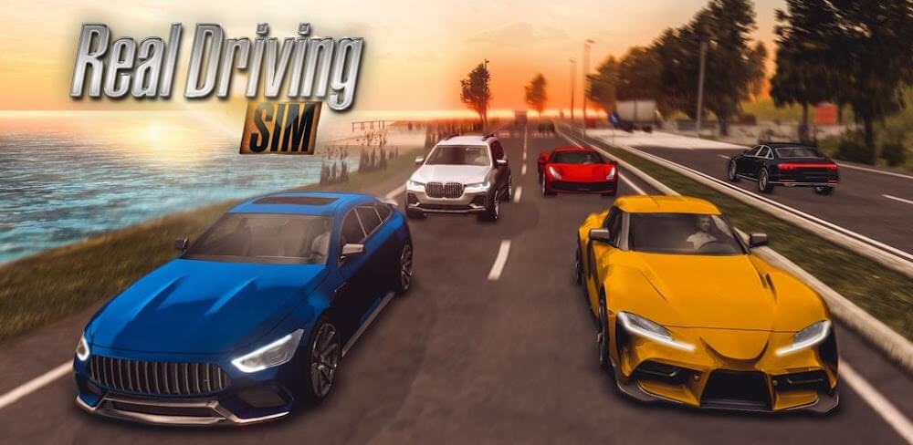 Real Driving Sim v6.1.1 MOD APK (Unlimited Money)