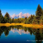 Water Reflection Photo Effects v1.3 APK (Full Version)