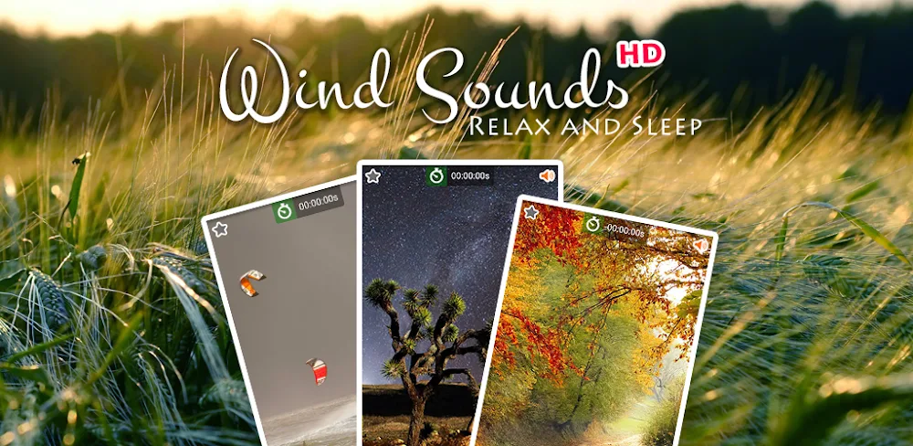 Wind Noise: Relax and Sleep v11.8 MOD APK (Premium Unlocked)