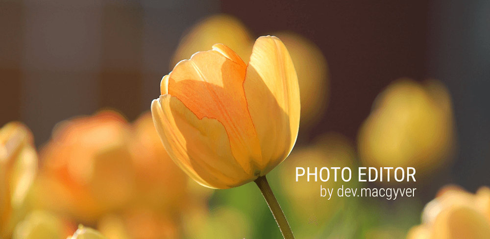 Photo Editor v12.4 MOD APK (Pro Unlocked)